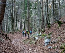 053-DSC_2457